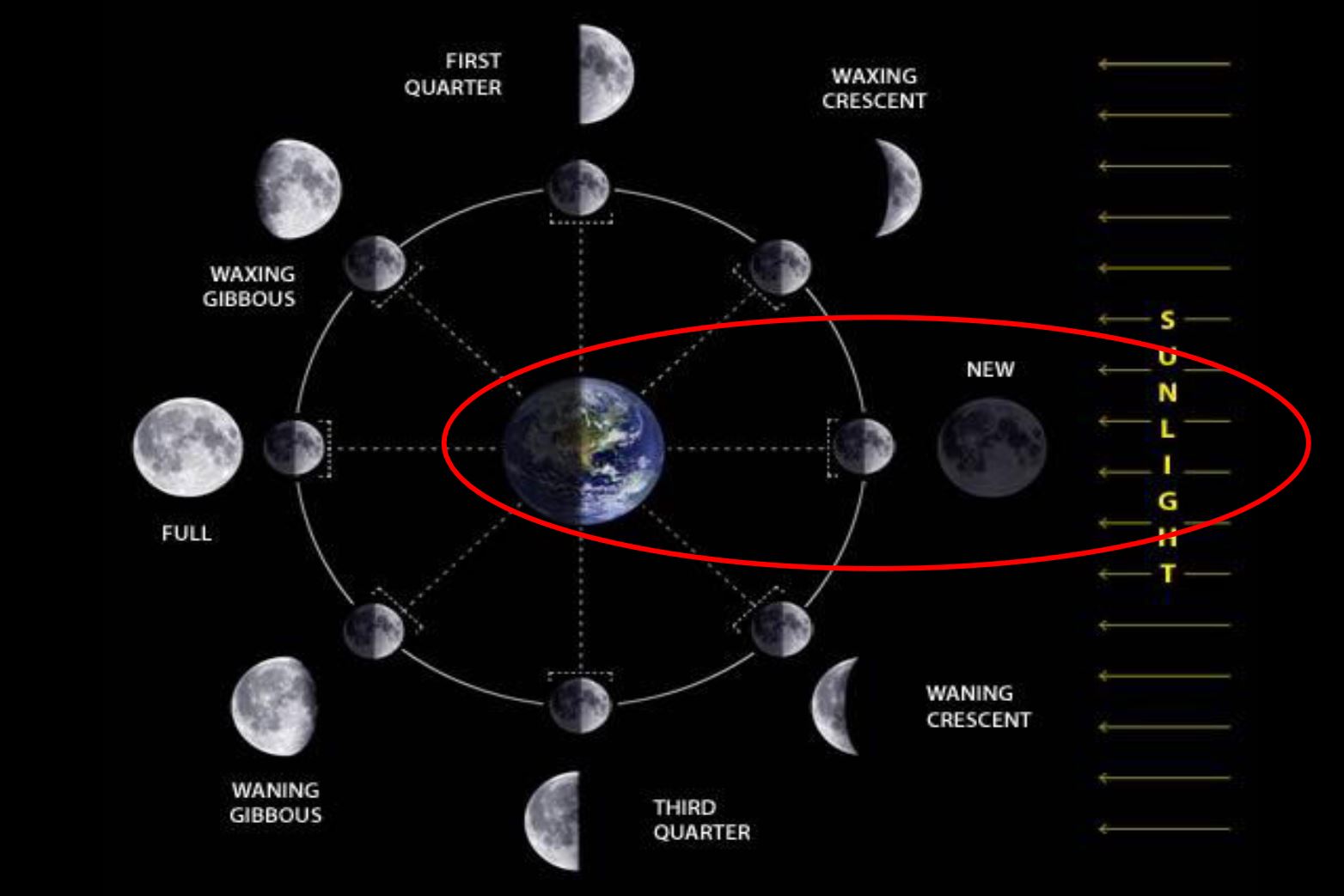 Moon Look.JPG